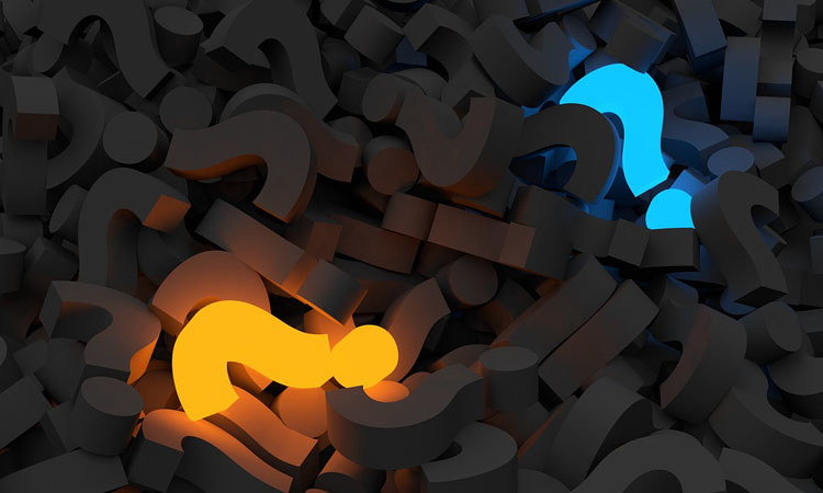 Applying and ranking programmes