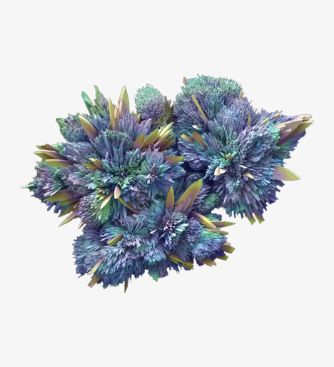 Ventolin